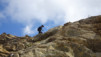 wildstrub_19_015