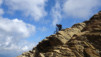 wildstrub_19_016