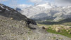 wildstrub_19_021