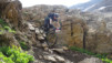 wildstrub_19_023