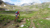 wildstrub_19_024