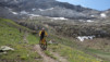wildstrub_19_025