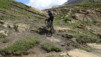 wildstrub_19_031