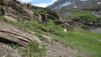 wildstrub_19_032