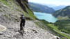 wildstrub_19_039