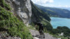 wildstrub_19_040