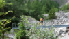 wildstrub_19_042