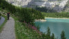 wildstrub_19_043