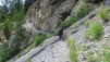 wildstrub_19_046