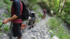 wildstrub_19_047