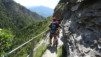 wildstrub_19_048