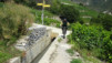 wildstrub_19_049
