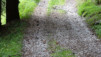 wildstrubelhuette_15_039