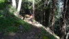 wildstrubelhuette_16_058