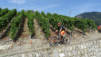 wildstrubelhuette_16_062