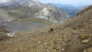 wildstrubelhuette_20_017
