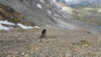 wildstrubelhuette_20_019