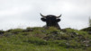 wildstrubelhuette_20_031