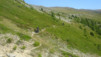 wiwanihuette_20_027