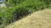 wiwanihuette_20_034