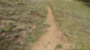 wiwanihuette_20_040