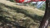 wiwanihuette_20_041