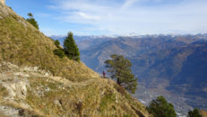 portail_fully_17_027