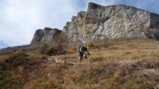 portail_fully_17_029