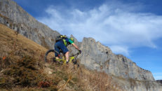 portail_fully_17_031