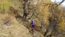 portail_fully_17_033