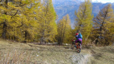 portail_fully_17_035
