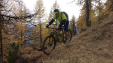 portail_fully_17_036
