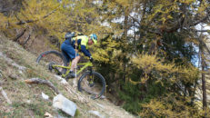 portail_fully_17_037