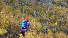 portail_fully_17_041