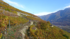 portail_fully_17_042